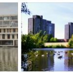 Study Abroad in University of Essex (7)