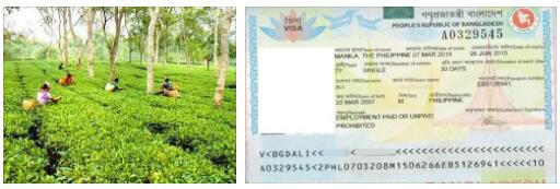 Bangladesh Entry Requirements