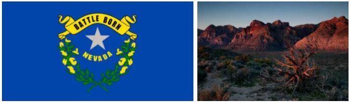 Nevada state