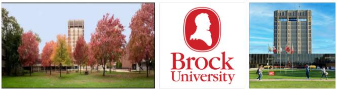 Brock University Review (29)