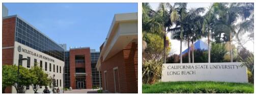 California State University Long Beach Review (23)