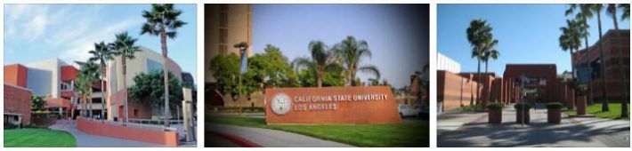 California State University Los Angeles Review (1)