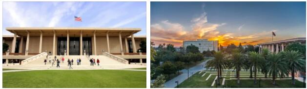 California State University Northridge Review (10)