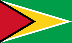 Guyana Flag PNG Image