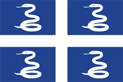 Martinique Flag PNG Image