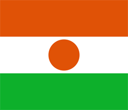 Niger Flag PNG Image