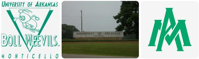 University of Arkansas at Monticello